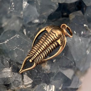 TRILOBIT, Amulett, Talisman, Bronze