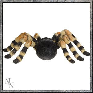 TARANTULASPINNE FIGUR - TIERFIGUREN{% if kategorie.adresa_nazvy[0] != zbozi.kategorie.nazev %} - FIGUREN, DEKORATIONEN{% endif %}