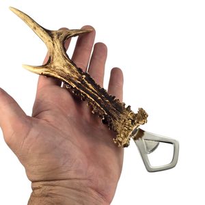 Beer opener - deer antler