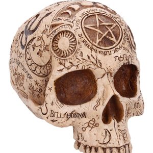 Lebka Apothecary, figurine de 14 cm