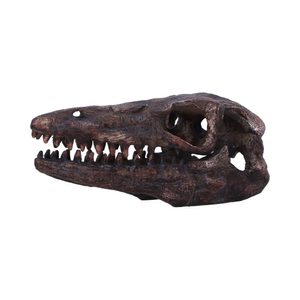 Archaeopteryx, skull, imitation, 18cm