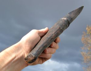 TYRANNOSAURUS REX, T-Rex, tooth, replica