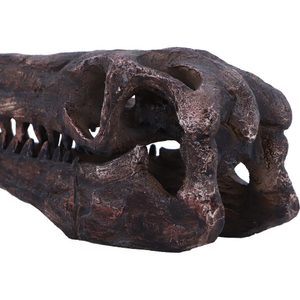 Archaeopteryx, skull, imitation, 18cm