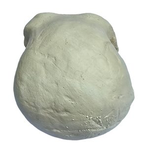 NEANDRTAL, protohumain, crâne