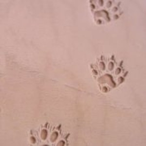 STOPA FRETKY, la réponse à la question de savoir s'il y a lieu d'agir.