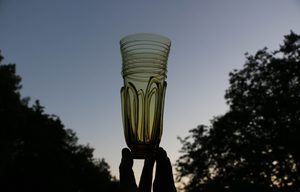 BIRKA, set of 2 Viking goblets, forest glass
