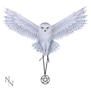 Magic Owl Pentagram - wall decoration 45 cm