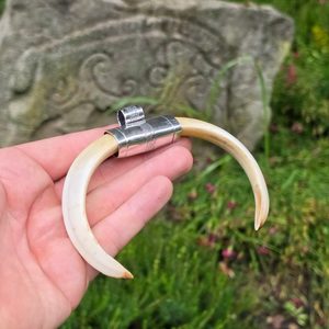 Collier de chef viking avec défense de sanglier, argent 925, 17 g
