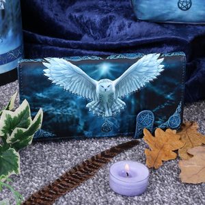 ANNE STOKES AWAKEN YOUR MAGIC OWL EMBOSSED PURSE - FASHION - LEATHER{% if kategorie.adresa_nazvy[0] != zbozi.kategorie.nazev %} - T-SHIRTS, BOOTS{% endif %}