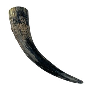 Raw cow horn 0,4 l