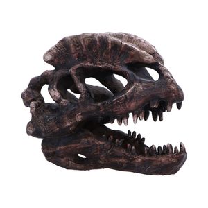 Dilophosaurus , skull, imitation, 16cm