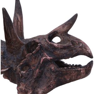 Triceratops, skull, imitation, 14,5cm