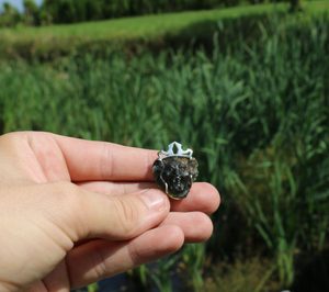 LION WITH CROWN, MOLDAVITE PENDANT, SILVER - GLYPTICA - MOLDAVITES, CZECH{% if kategorie.adresa_nazvy[0] != zbozi.kategorie.nazev %} - SILVER JEWELLERY{% endif %}