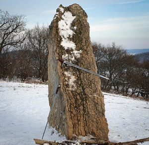 FLORAL EINHÄNDIGES SCHWERT FULL TANG - MITTELALT SCHWERTER{% if kategorie.adresa_nazvy[0] != zbozi.kategorie.nazev %} - WAFFEN{% endif %}