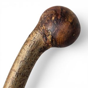 Shillelagh, irischer Stock, Hasel