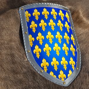 FRANCE, MEDIEVAL SHIELD - METAL, HANDMADE - PAINTED SHIELDS{% if kategorie.adresa_nazvy[0] != zbozi.kategorie.nazev %} - ARMOUR HELMETS, SHIELDS{% endif %}