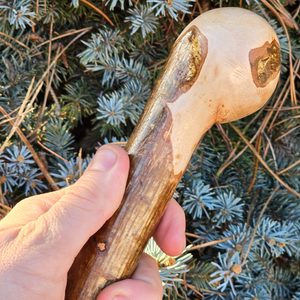 Shillelagh - canne irlandaise, noisetier, prunellier de Casey's