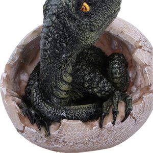 RAPTORS DAWN, dragon or dinosaur egg