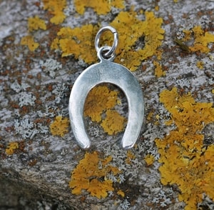 HORSESHOE, SILVER PENDANT - PENDANTS{% if kategorie.adresa_nazvy[0] != zbozi.kategorie.nazev %} - SILVER JEWELLERY{% endif %}