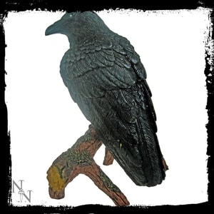 RAVEN, STATUE - FIGURINES D'ANIMAUX{% if kategorie.adresa_nazvy[0] != zbozi.kategorie.nazev %} - DÉCORATIONS D'INTÉRIEUR{% endif %}