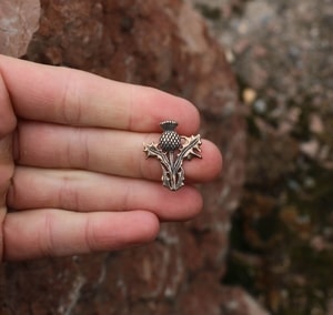 SCOTTISH THISTLE - ALBA, BRONZE PENDANT - CELTIC PENDANTS{% if kategorie.adresa_nazvy[0] != zbozi.kategorie.nazev %} - JEWELLERY - BRONZE, ZINC{% endif %}