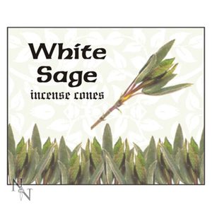 DRUID INCENSE CONES - WHITE SAGE BOX OF 12 PACKS - AROMATHERAPY OILS{% if kategorie.adresa_nazvy[0] != zbozi.kategorie.nazev %} - MAGIC{% endif %}