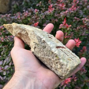 Petroglyph - carved in stone