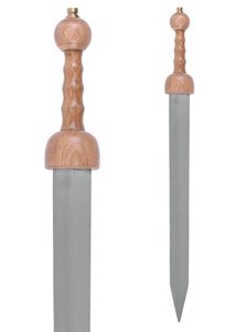 Roman Gladius Pompeii with leather scabbard