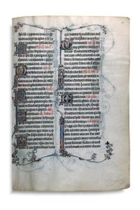 Medieval Pin Monster Avis Simiae