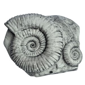 AMONIT, replica of a fossil