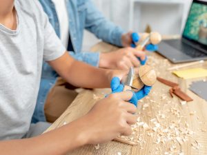 Mushroom, BeaverCraft hobby kit Family Fun Carving Hobby Kit DIY09