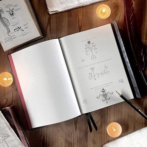 Poe's Raven, notebook, Alchemy England