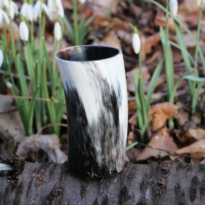 HORN BOWL 10 CM - POLISHED - DRINKING HORNS{% if kategorie.adresa_nazvy[0] != zbozi.kategorie.nazev %} - HORN PRODUCTS{% endif %}