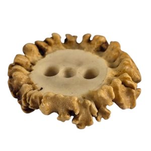 Bouton en bois de cerf