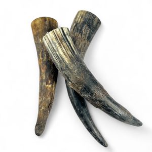 Raw cow horn 0,4 l