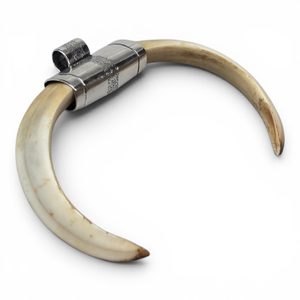 Collier de chef viking avec défense de sanglier, argent 925, 17 g