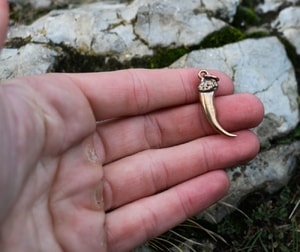 WOLF CLAW, pendant, bronze