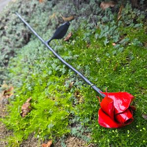 Forged rose - red
