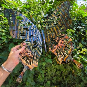 Metal Butterfly, Wall Decoration