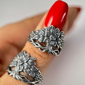 Chaux, bague, argent