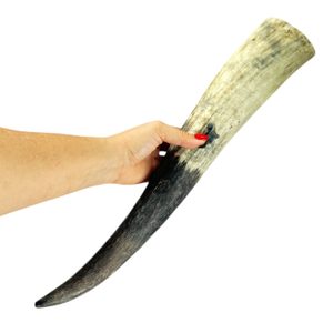 Cow horn raw large 0,5l
