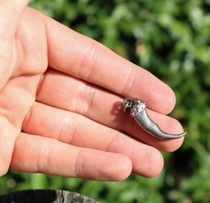 WOLF CLAW, pendant, zinc