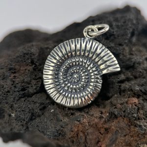 AMMONITE, sterling silver pendant