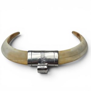 Collier de chef viking avec défense de sanglier, argent 925, 17 g