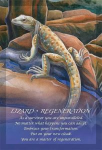 Spirit of the Animals Oracle, tarot cards