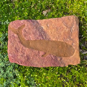 Petroglyph - carved in stone