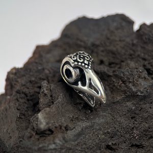 Crâne de corbeau, barbe perle, argent