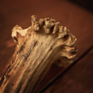 Sgian Dubh, couteau écossais avec bois de cerf