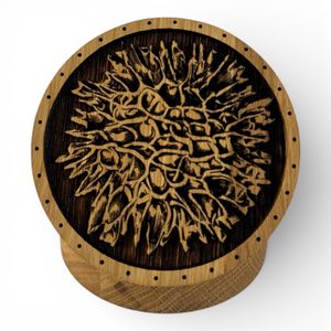 Boîte en chêne MOLDAVITE pour collectionneurs de pierres, moldavite et bracelets