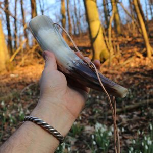 Children's signal horn, length approx. 30 cm